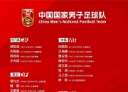 争分夺秒！国际赛事引发球迷热烈关注的简单介绍